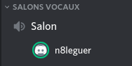 L'accès à un salon vocal