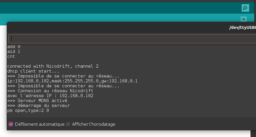 Affichage de l'adresse IP